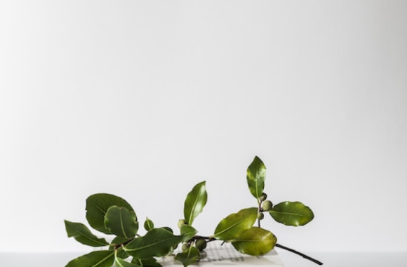 image-1 Award Winning Creative Strategy